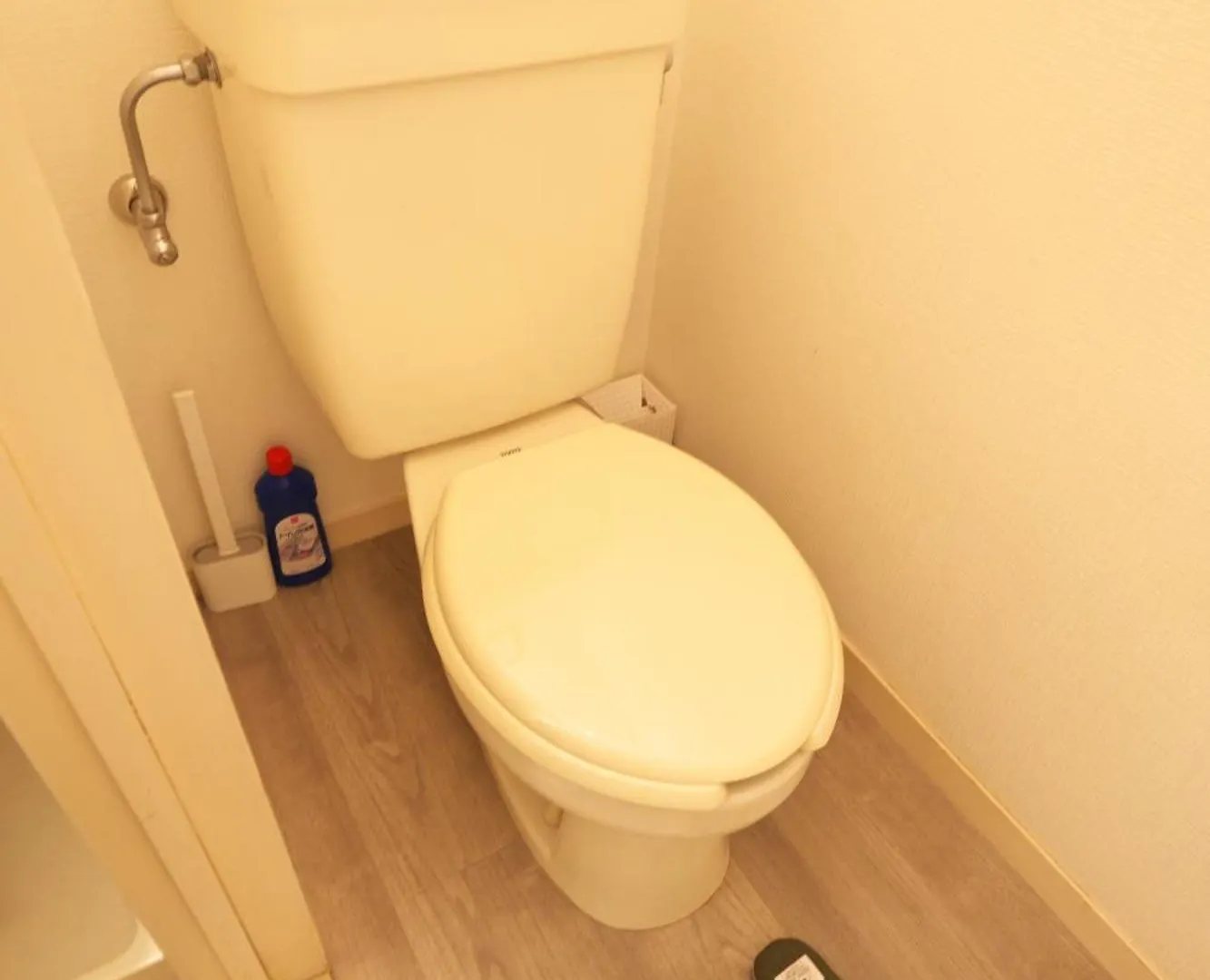 Zen Abode Japanese-Style And Modern Western-Style Rooms Tokyo Apartment